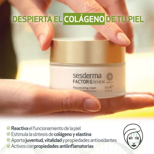 Factor G Renew CREMA ANTIEDAD SESDERMA - Imagen 3