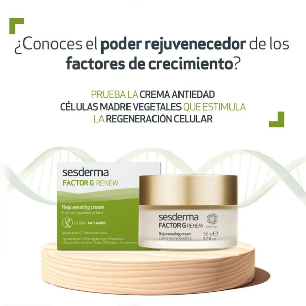 Factor G Renew CREMA ANTIEDAD SESDERMA - Imagen 4